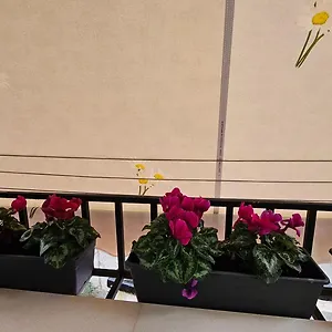 Center Appartement
